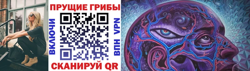 Галлюциногенные грибы GOLDEN TEACHER  даркнет сайт  Благовещенск 