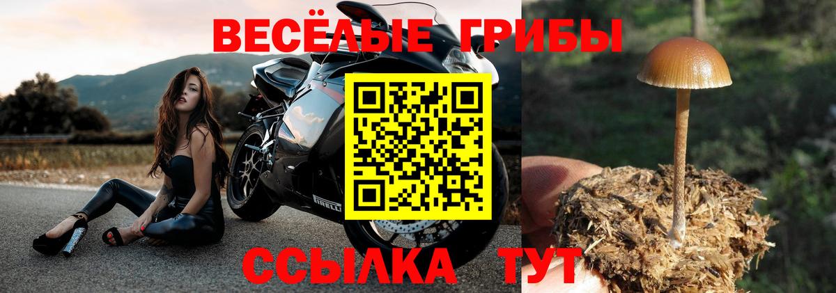 Псилоцибиновые грибы Magic Shrooms Благовещенск