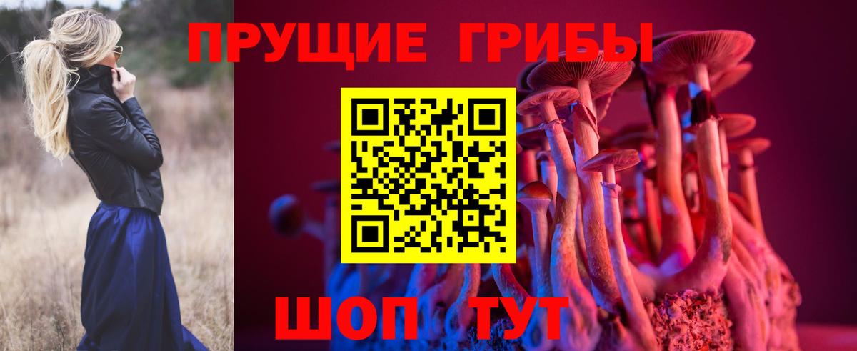Галлюциногенные грибы прущие грибы  Вход с VPN  Благовещенск  Псилоцибиновые грибы Cubensis 